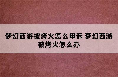 梦幻西游被烤火怎么申诉 梦幻西游被烤火怎么办